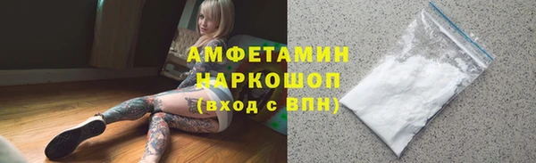 молекула духа Сковородино