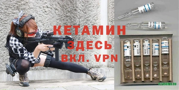 молекула духа Сковородино