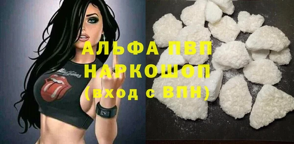 молекула духа Сковородино