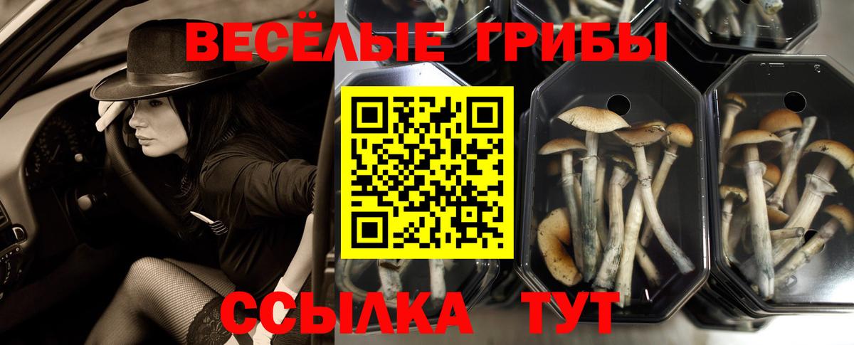 Псилоцибиновые грибы Magic Shrooms Грязи